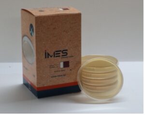 BURKHOLDERIA CEPACIA AGAR