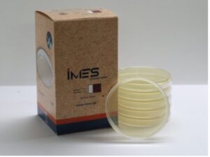 IMES MUELLER HINTON AGAR